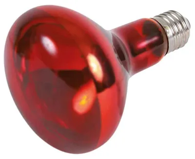 Produktbild von Trixie Infrarot-wärmelampe 150w Rot  Rot One Size