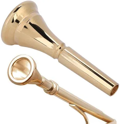 Image de Embouchure pour cor - Protections pour les dents - Idéal pour les débutants et les musiciens professionnels - Durable - Design élégant - Embouchure pour instruments à vent