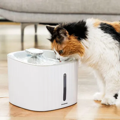 Immagine prodotto di Fontana per Animali Domestici Drinkatt InnovaGoods