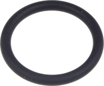 Immagine prodotto di Kärcher O-Ring EPDM 22x3
