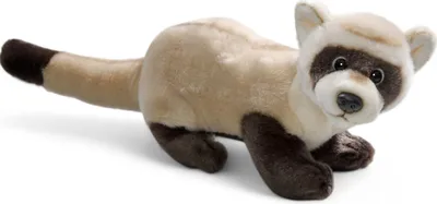 A plush toy ferret is shown lying down on a white background.