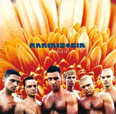 Image de Rammstein - Heartache (2 LP)