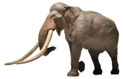 Obrázek produktu pro Eofauna FIG-002 Evropský lesní slon (Palaeoloxodon antiquus) 22 cm Svět D