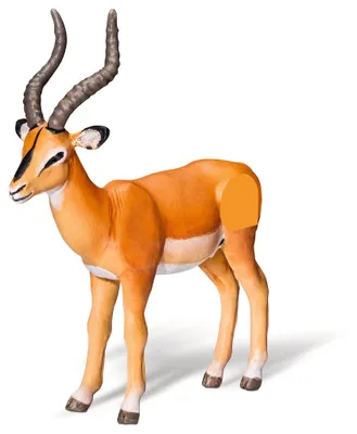 Produktbild von Ravensburger Antilope, 4 Jahr(e), tiptoi: Africa, Grau, Orange