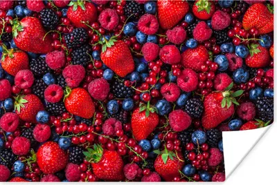 Produktbild von MuchoWow® Poster Obst - Wald - Erdbeere 120x80 cm - Bilder