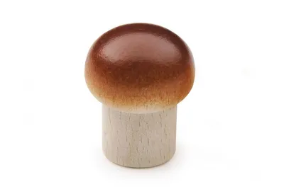 Produktbild von Erzi Champignon - Kaufladenzubehör