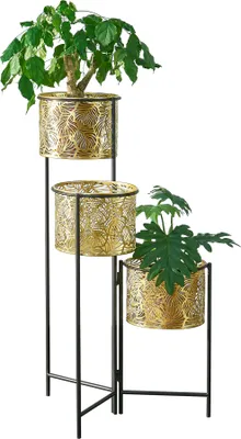 A three-tiered plant stand with three potted plants.