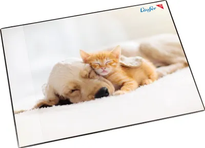 Produktbild von Läufer Schreibunterlage Hund und Katze 400 x 530 mm