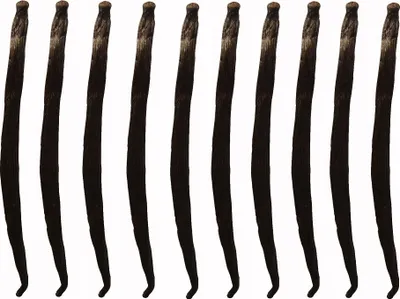 Produktbild von Vanillestangen 10 St. 10-14 cm Vanillestangen Vanilleschote Vanilleschoten QUALITÄT 1 FRISCHE Stangen