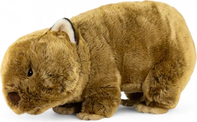 A plush toy wombat is shown against a white background.