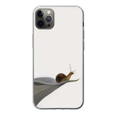 Produktbild von MuchoWow® Handyhülle Schutzhülle Hülle für iPhone 13 Pro Max Schnecke - Lilie - Grau Silikon Softcase Handy Hülle - Mobiltelefon