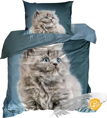 Immagine prodotto di biancheria da letto in cotone sateen 3D, 140 x 200 cm, gatto persiano