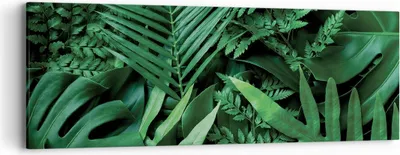 Produktbild von Bild auf Leinwand - Leinwandbild - Einteilig - Exotisch Blätter Monstera - 90x30cm - Wand Bild - Wanddeko - Wandbilder - Leinwanddruck - Bilder - Wanddekoration - Leinwand bilder - AB90x30-4746
