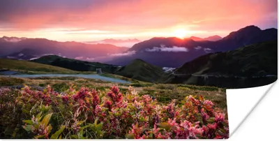 Produktbild von MuchoWow® Poster Blumen - Berge - Landschaft - Nacht - Himmel - Rosa 40x20 cm - Poster für die Wand - Poster Schlafzimmer