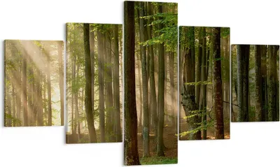 Produktbild von Bild auf Leinwand - Leinwandbild - Wald Baum Natur - 125x70cm - Wand Bild - Wanddeko - Wandbilder - Leinwanddruck - Bilder - Kunstdruck - Wanddekoration - Leinwand bilder - Wandkunst - EA125x70-3628