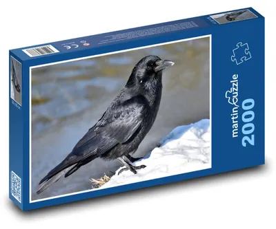 Obrázek produktu pro martinpuzzle - Puzzle 2000 - Havran na sněhu