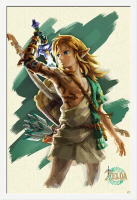 Image de Legend of Zelda, The - Poster - Link Unleashed + cadre interchangeable, Shinsuke® Maxi MDF blanc, vitre acrylique