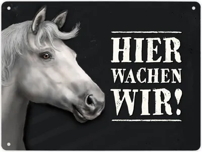 Produktbild von Hier wachen wir! Metallschild XL mit Pferd Motiv Schild Blechschild