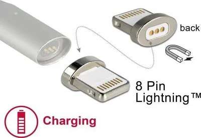 Image de DELOCK Magnetischer Adapter 8 Pin Lightning Stecker