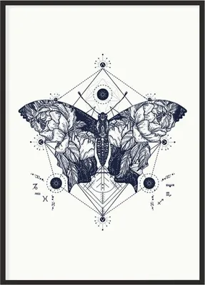 Produktbild von Bild Poster im Rahmen 43x33 cm Schmetterling P1156