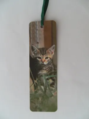 Produktbild von Lesezeichen Katze, 14 x 4 cm, Buchzeichen Bookmark Bücher Buch Tier Kätzchen