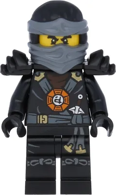 Immagine prodotto di LEGO Ninjago: Cole (Posession, edizione 2015)