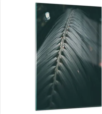 Produktbild von Bilder auf glas - Einteilig - Blatt Palme exotisch - 80x120cm - Glasbilder - Wandbilder - Bilder - zum Aufhängen bereit - Wanddekoration aus Glas - Glas Bilder - Wandbild auf Glas - GPA80x120-4907