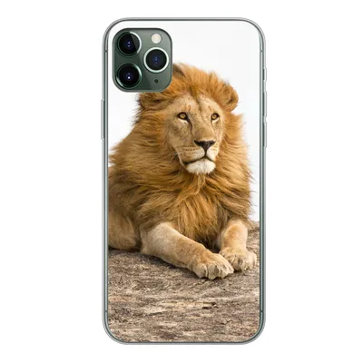 Produktbild von MuchoWow® Handyhülle Schutzhülle Hülle für iPhone 11 Pro Max Löwe - Mähne - Tier Silikon Softcase Handy Hülle - Schutz