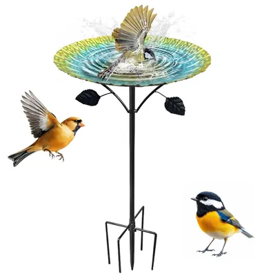 Productafbeelding van Metalen Vogelbad van 24.5 cm met Grondpen