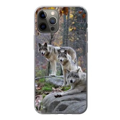Produktbild von MuchoWow® Handyhülle Schutzhülle Hülle für iPhone 13 Pro Wölfe - Fels - Wald Silikon Softcase Handy Hülle - Handy-Tasche