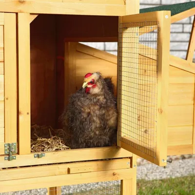 Produktbild von Hühnerstall - Hühnerhaus - Hühnerstall mit Dach - Großer Hühnerstall - Hühnerhaus im Freien