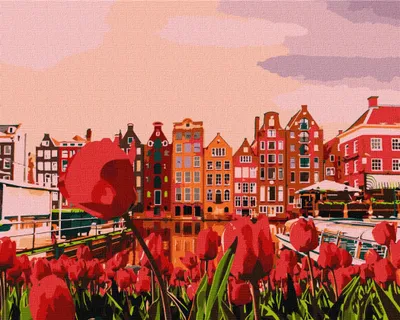 Obrázok produktu pre Maľba podľa čísel s rámom Obrazy-Krása Amsterdamu 50x40 cm
