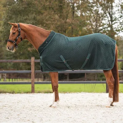 Produktbild von QHP Showdecke Avélie