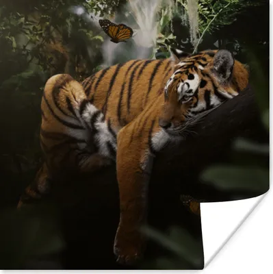 Produktbild von MuchoWow® Poster Schmetterling - Dschungel - Tiger 30x30 cm - Wandposter - Printing
