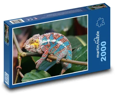 Obrázek produktu pro martinpuzzle - Puzzle 2000 - Chameleon - plaz