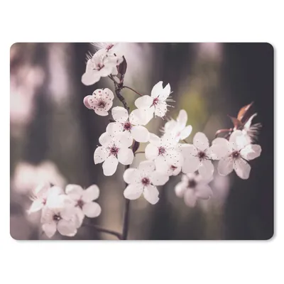 Produktbild von MuchoWow® Mauspad Mousepad Blumen - Weiß - Natur - Pflanze - Blüte 40x30 cm - Mousepads - Maus Mat - Pad - Mausunterlage - Anti Rutsch
