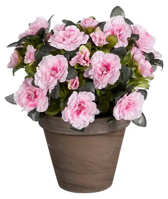 Produktbild von Mica Decorations Azalee Kunstpflanze im Blumentopf Stan - H31 x Ø26 cm - Rosa