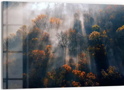 Produktbild von DEQORI Glasbild Echtglas 90x60 cm 'Herbstlicher Nebelzauber' Wandbild Bild modern Deko