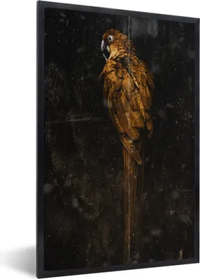 Produktbild von MuchoWow® Gerahmtes Poster Papagei - Vogel - Foto 60x90 cm - Poster mit Schwarzem Bilderrahmen Wandposter Rahmen Foto Bilder - Kunst