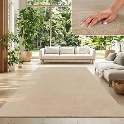 A living room scene with a large beige rug, sofas, plants, and a large window overlooking a garden.