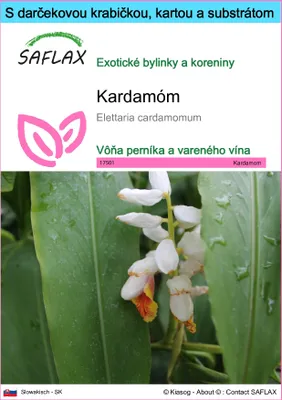 Obrázok produktu pre SAFLAX Darčeková sada - kardamóm - Elettaria cardamomum - 20 Semená - S darčekovou krabičkou, prepravným štítkom, darčekovou kartou a pestovateľským médiom