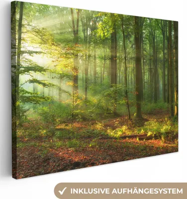 Obrázok produktu pre MuchoWow® - Plátno - Slnko - Les - Stromy - Príroda - Jeseň, nástenný obraz, nástenné dekorácie obrazy obývacia izba, 40x30cm