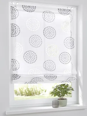 A window with a roman blind and a plant on the windowsill.
