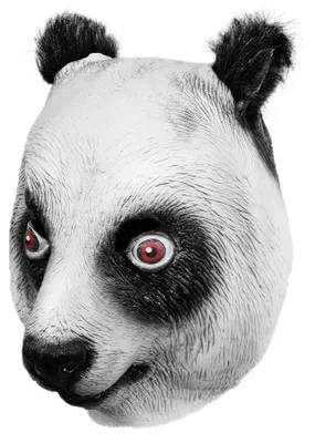 Zdjęcie produktu dla Panda