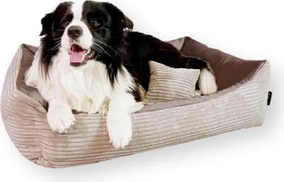 Produktbild von 4L Textil MOLLY Kuscheliges Cord Hundebett mittelgroße Hunde Hundekorb Cord Hundekissen flauschig Hundekörbchen Cord (100x80 cm, Braun)