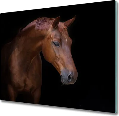 Produktbild von Glas Herdabdeckplatte 60x52 cm Spritzschutz Glasabdeckplatte Schneidebrett Braunes Pferd