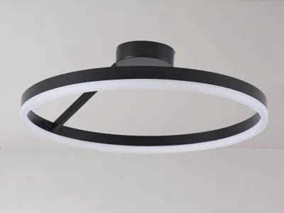 Productafbeelding van LED plafondlamp met afstandsbediening, 40W - TA1313/B