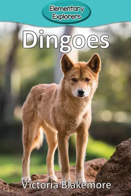 Produktbild von Dingoes