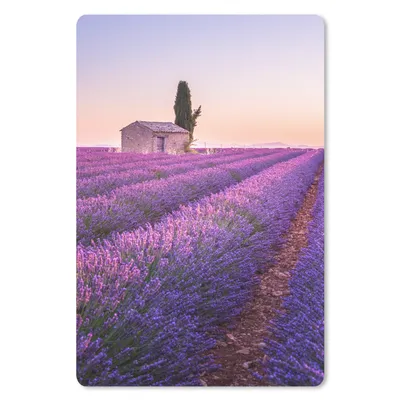 Produktbild von MuchoWow® Mauspad Mousepad Lavendel - Sonnenuntergang - Lila - Blumen 18x27 cm - Mousepads - Maus Mat - Pad - Mausunterlage