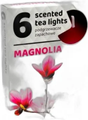 Zdjęcie produktu dla Podgrzewacz Do Wody Admit A 6 Magnolia